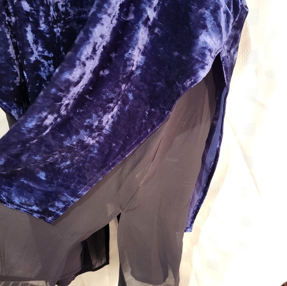 Mblm sheer and velvet top. - Picture 3 of 5